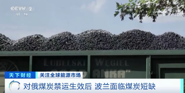 波兰民众排队买煤炭