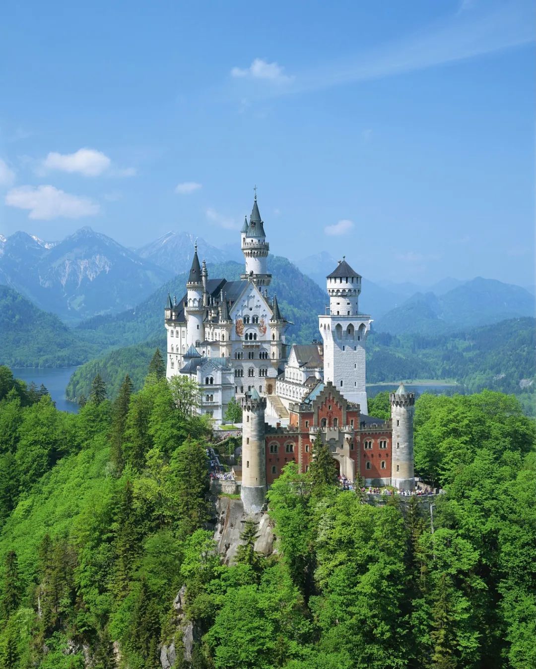 全球已经有79个国家和地区取消新冠入境限制