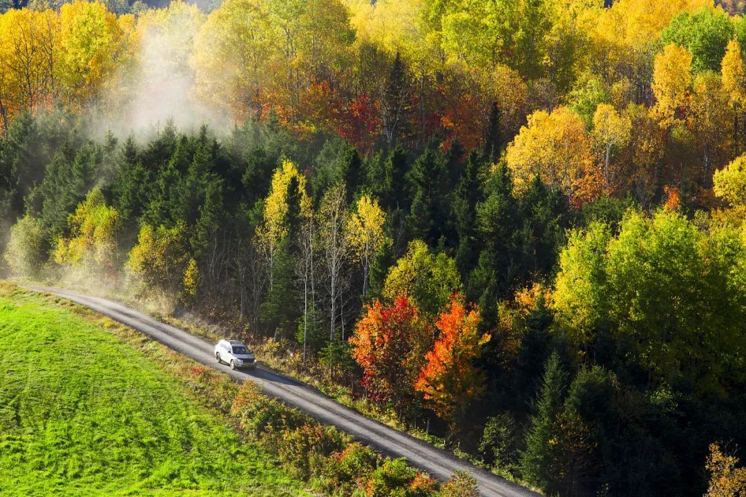 全球已经有79个国家和地区取消新冠入境限制