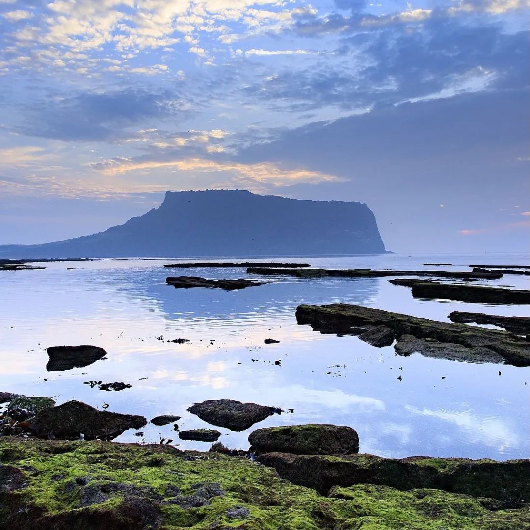 全球已经有79个国家和地区取消新冠入境限制