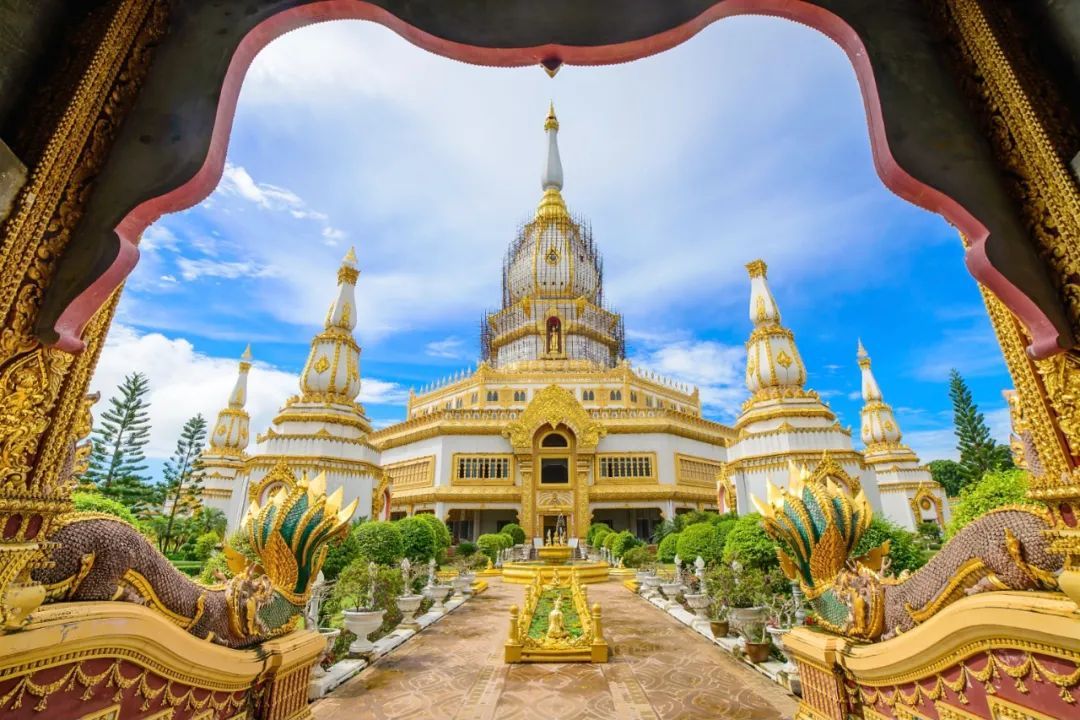 全球已经有79个国家和地区取消新冠入境限制